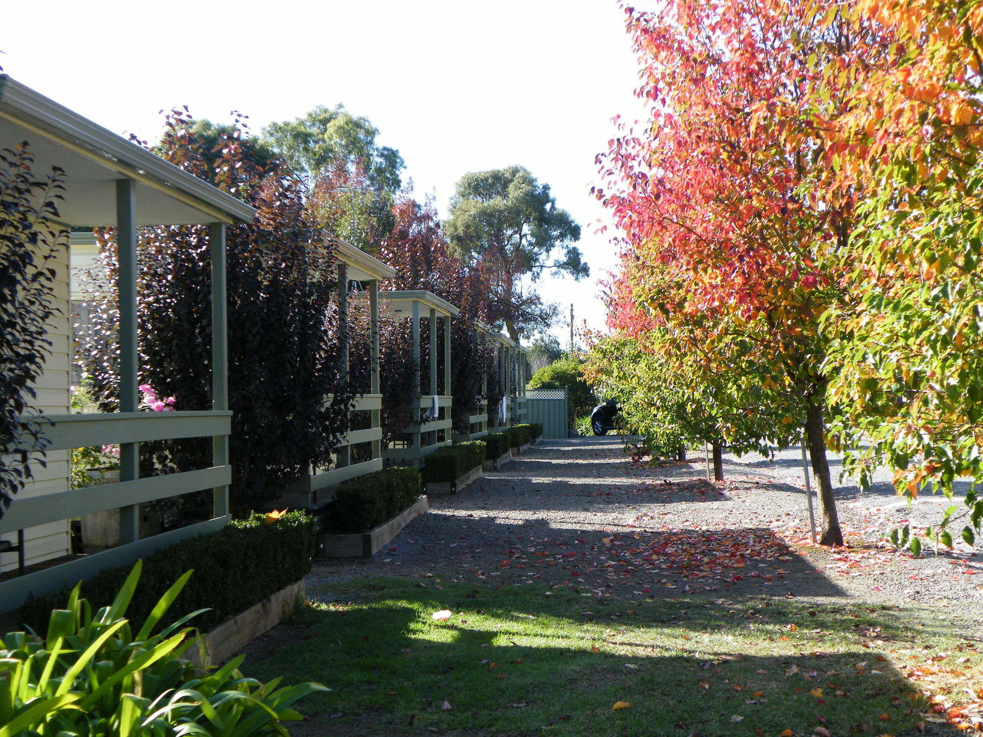 Lake Hamilton Motor Village And Caravan Park Exterior foto